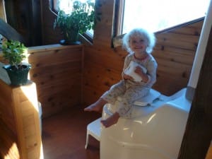 Flies in Your Composting Toilet?